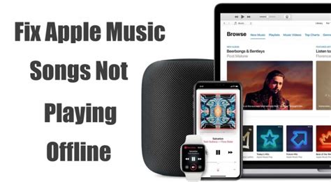 Apple Music Songs Not Playing: Multiple Perspectives on a Common Issue